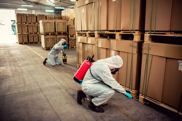 Flea Control Services in Tracy, CA