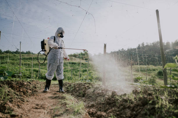 Best Commercial Pest Control Services  in Tracy, CA