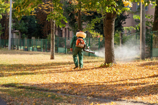 Best Rat Extermination Near Me  in Tracy, CA
