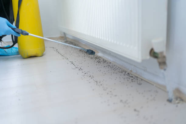 Best Pest Control Near Me  in Tracy, CA